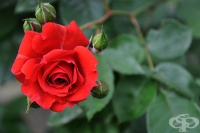 ��������� ���� ������ ���� � ������������� �� ������ �� ������